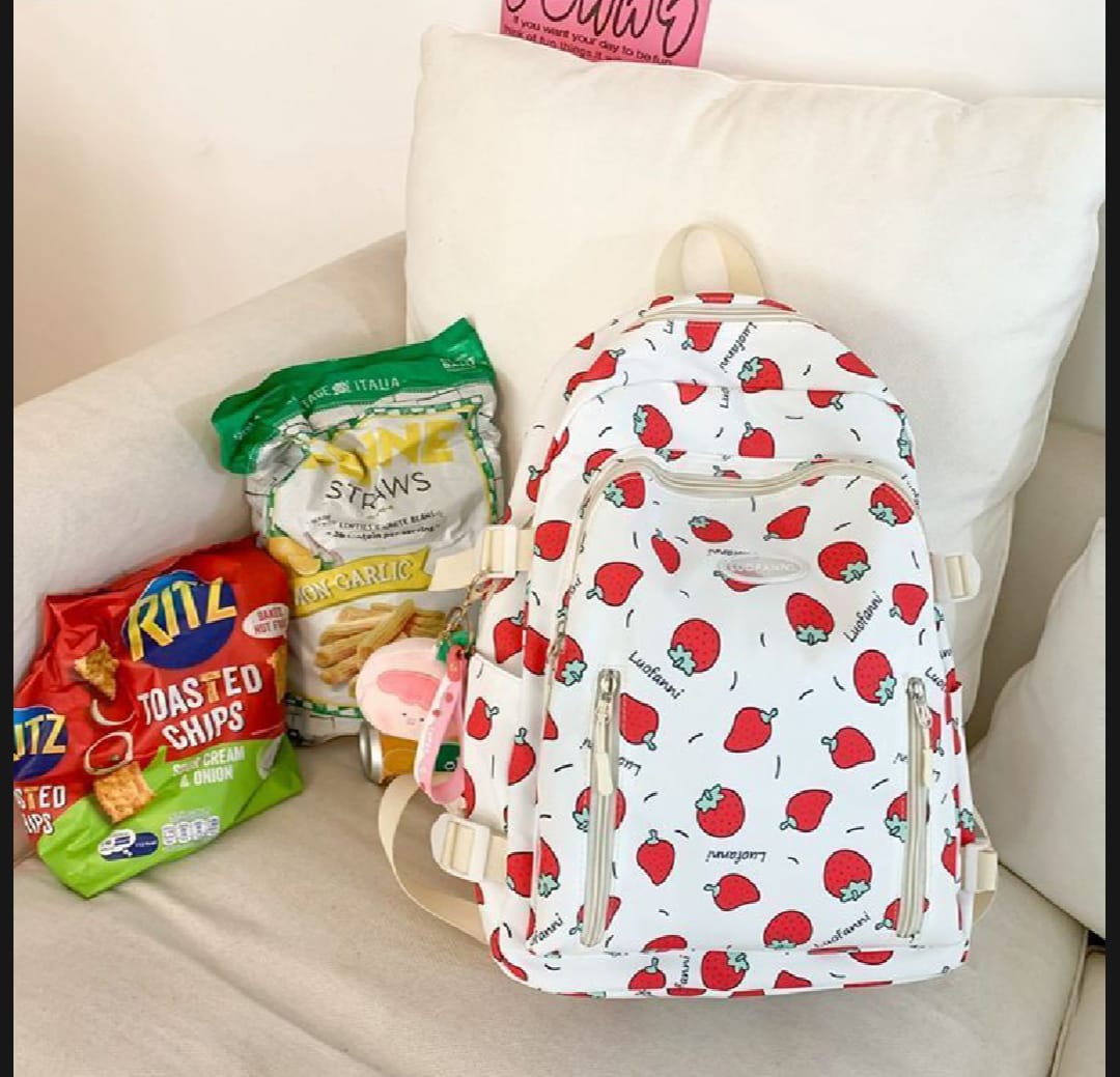Korean Stylish Backpack for Girls